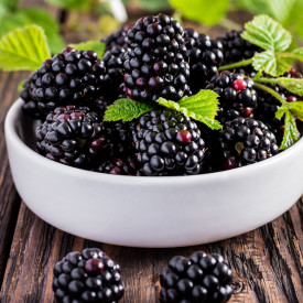 Černica Black Bromba (1)