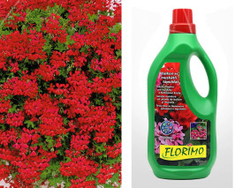 12 Tirolský oheň + 1 l Florimo