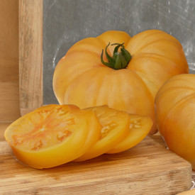 Rajčiny Golden Ananas