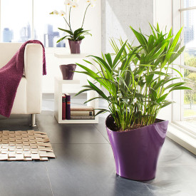 Vlnitý kvetináč fialový (25 cm)