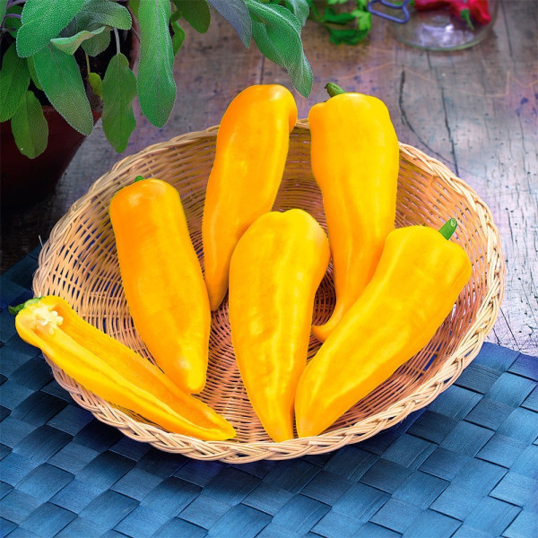 nack paprika Mini Yellow