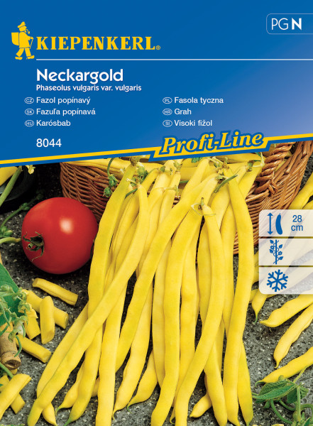 Fazuľa popínavá Neckargold (semená)