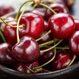 Kordia čerešňa s voľným koreňom