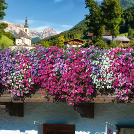 AlpeTunia® zostava + Duostar 2000 Spezial