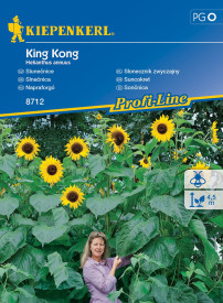 Obrovská slnečnica King Kong (semená)