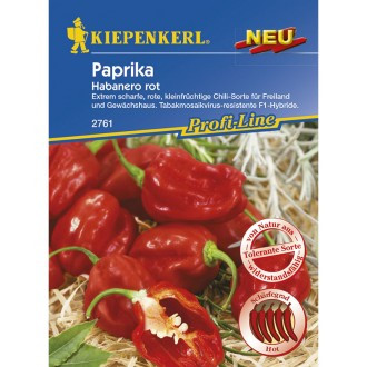 Paprika Habanero Rot