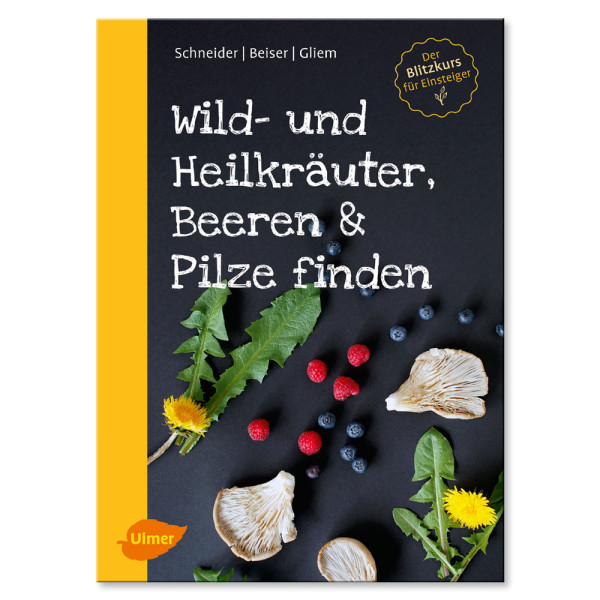 Kniha - Wild-und Heilkräuter, Beeren und Pilze finden