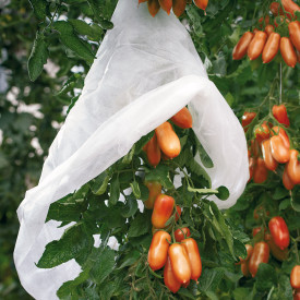 Netkaná textília na paradajky