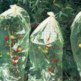 Ochranná fólia na paradajky