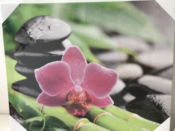 Zen obrázok s orchideou