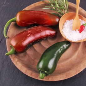 Jalapeno paprička