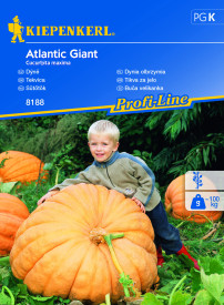 Obrovská tekvica Atlantic Giant (semená)
