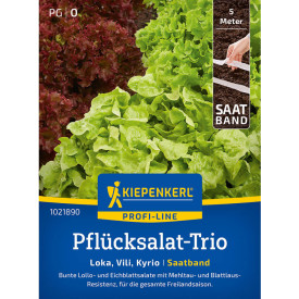Šalát Trio, výsevný pás
