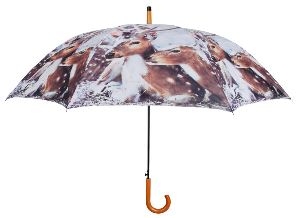 Dáždnik, jeleň