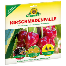 Pasca na vtivky čerešňové