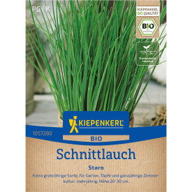 Pažítka – bio semená