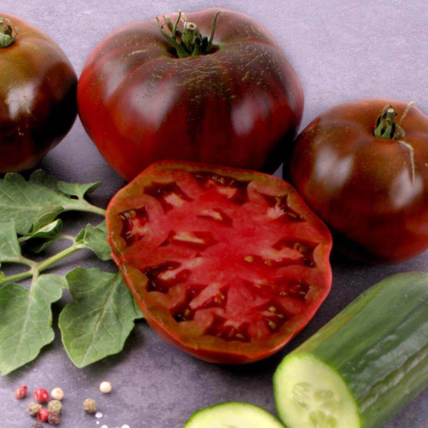 Paradajky Black Krim